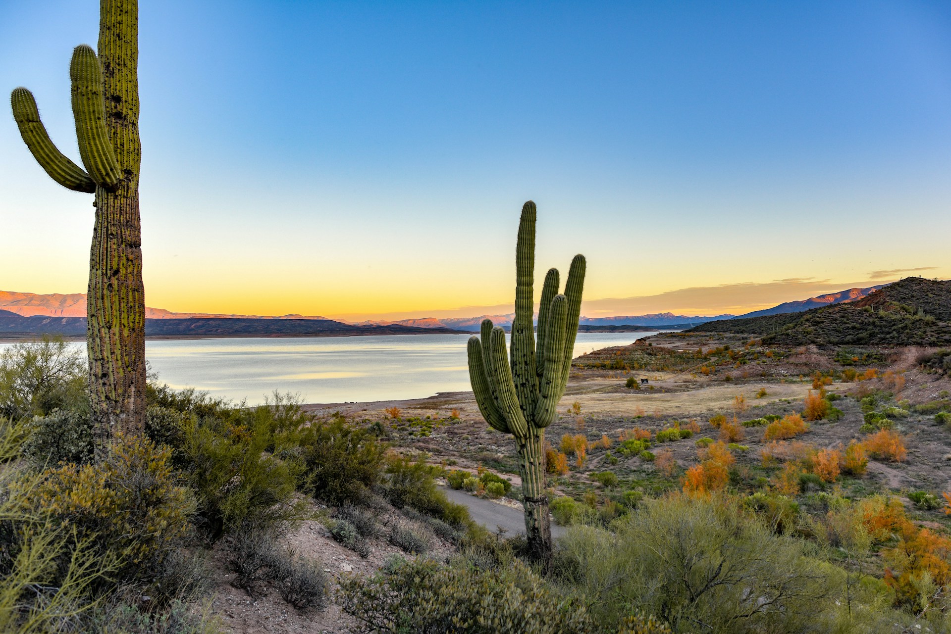 Water in desert